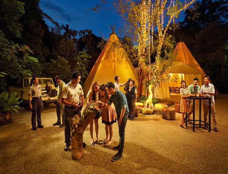 Singapore Night Safari With Optional Buffet Dinner